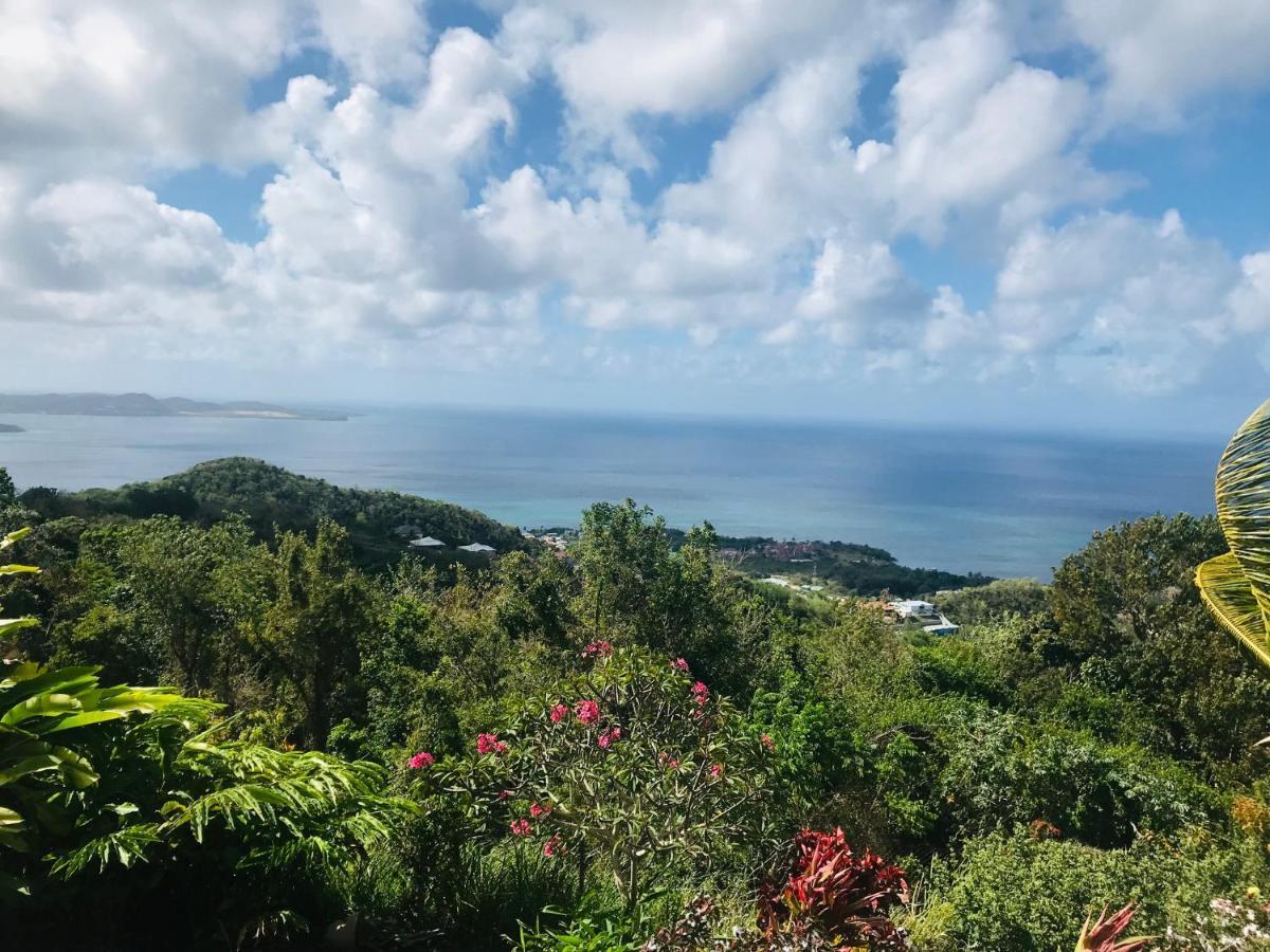 Appartement Prive Eco-Responsable, Vue Sur La Mer Des Caraibes Et Jardin Clos, Wifi, A 2Mn De La Plage แซ็งต์-ลูซ ภายนอก รูปภาพ